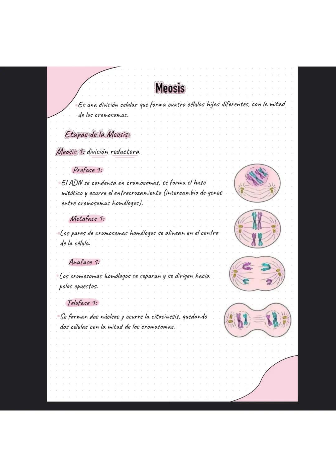 # La célula
¿Que es la célula?
La célula es la unidad más pequeña de la vida. La célula están formadas por organelas
En ella existen dos t
