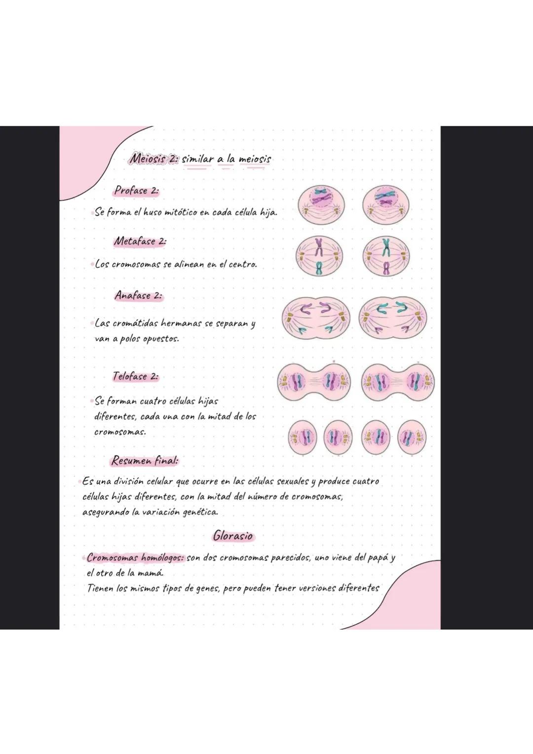 # La célula
¿Que es la célula?
La célula es la unidad más pequeña de la vida. La célula están formadas por organelas
En ella existen dos t