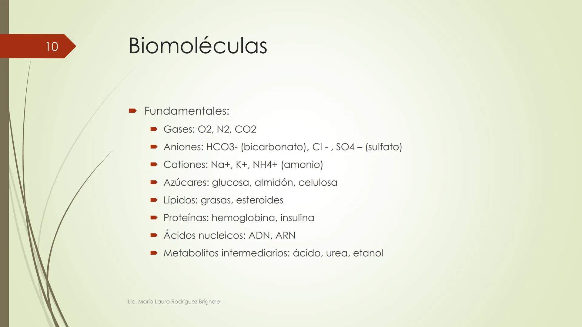 # Biología
1
Lic. María Laura Rodríguez Brignole
Lic. María Laura Rodríguez Brignole # 2
Lic. María Laura Rodríguez Brignole 3
# Ciencia