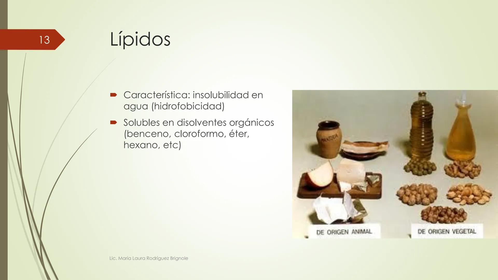 # Biología
1
Lic. María Laura Rodríguez Brignole
Lic. María Laura Rodríguez Brignole # 2
Lic. María Laura Rodríguez Brignole 3
# Ciencia