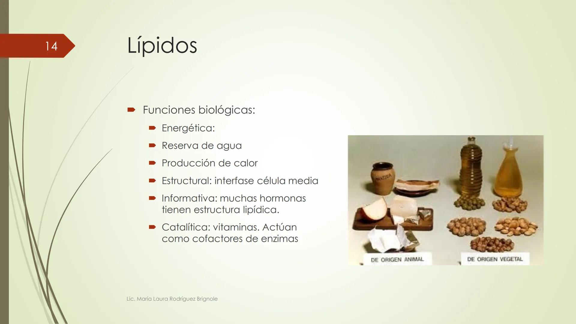 # Biología
1
Lic. María Laura Rodríguez Brignole
Lic. María Laura Rodríguez Brignole # 2
Lic. María Laura Rodríguez Brignole 3
# Ciencia