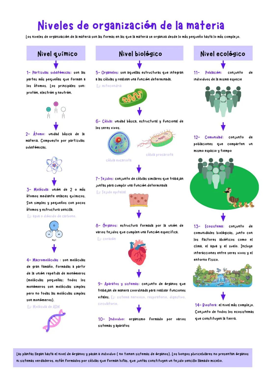 # Niveles de organización de la materia
Los niveles de organización de la materia son las formas en las que la materia se organiza desde lo