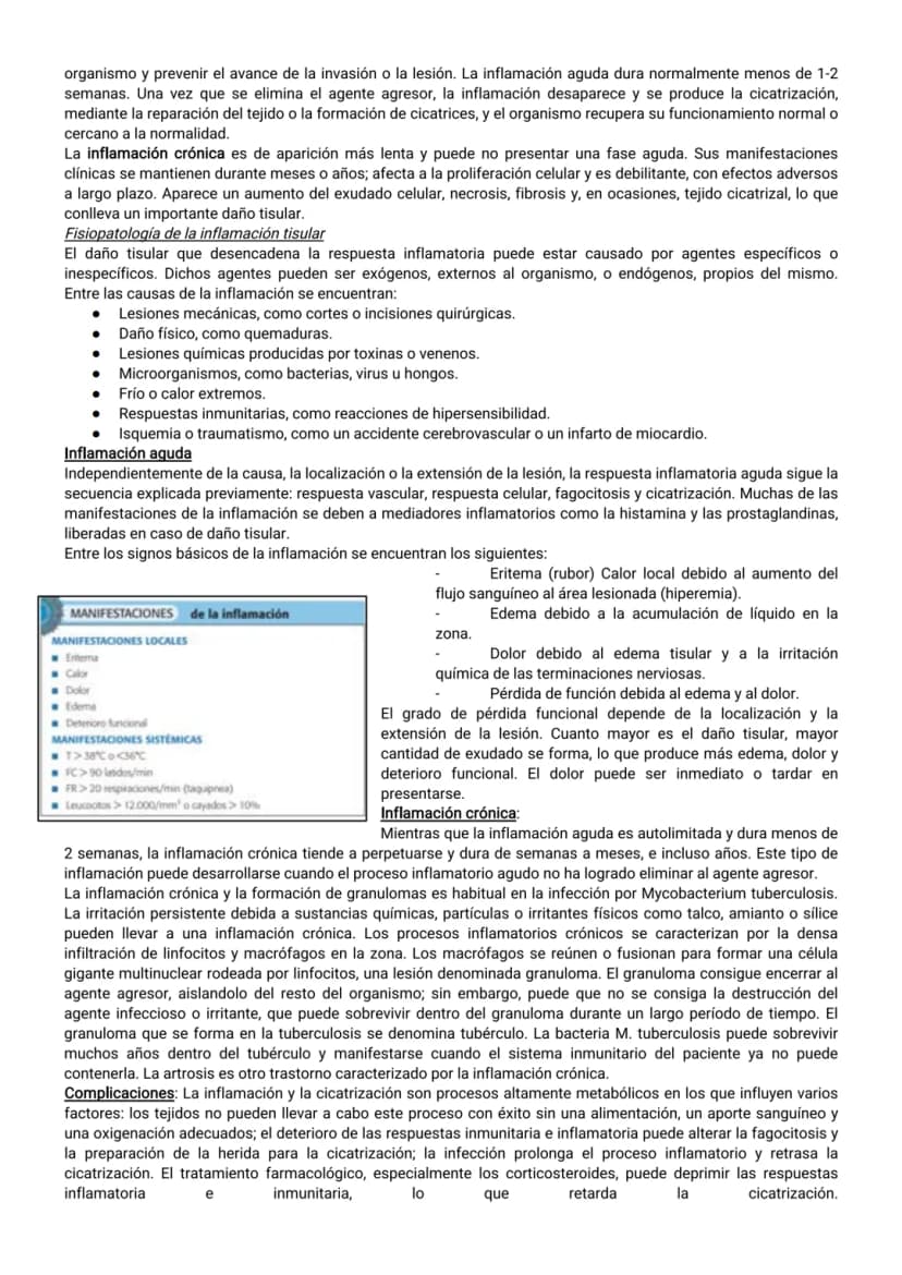 Page 236