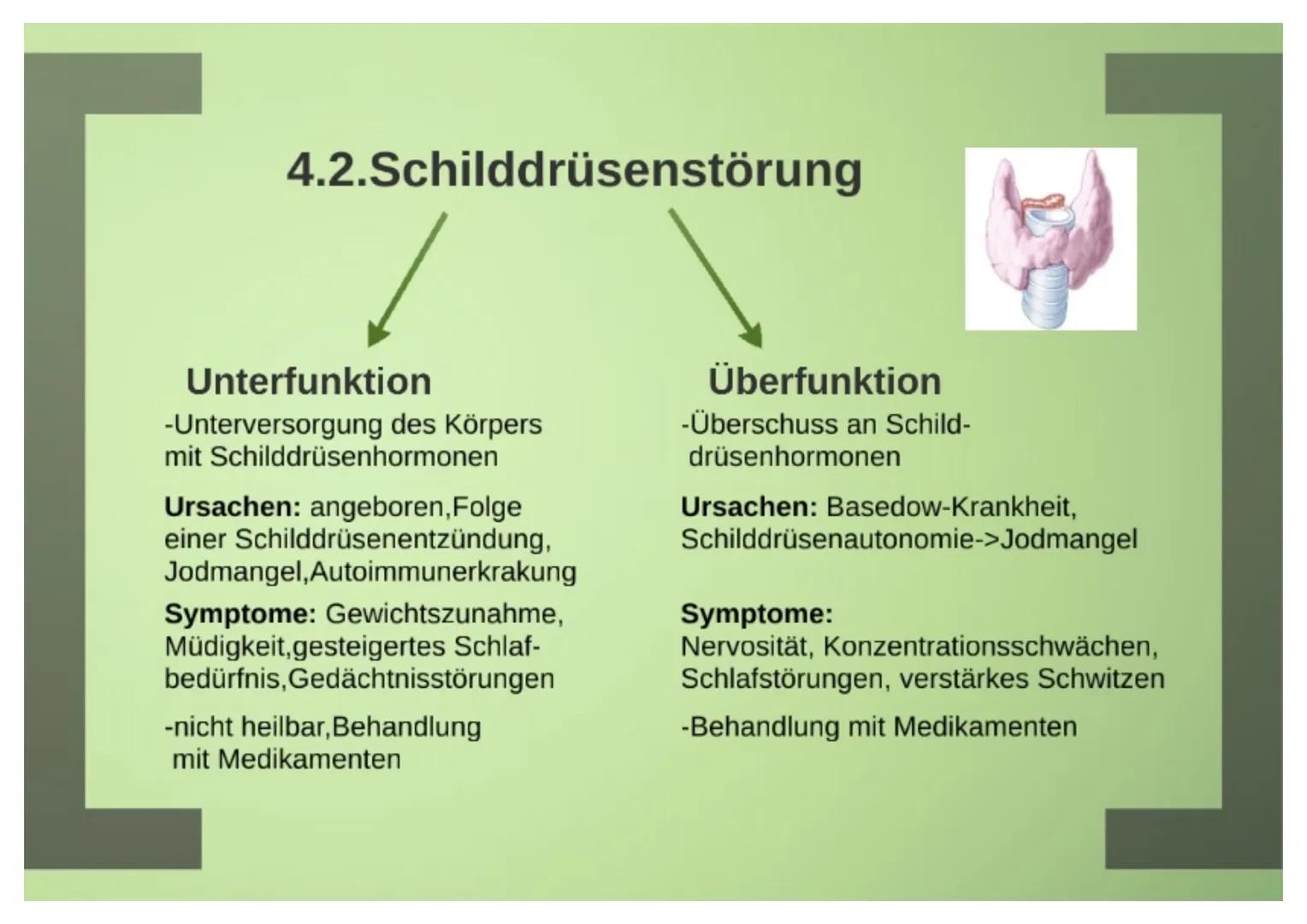 1.Hormone
1.1.Definition
-chemische Signal- und Botenstoffe
-übermitteln Informationen und
regeln wichtige Vorgänge
1.2.Klassifizierung
-U
