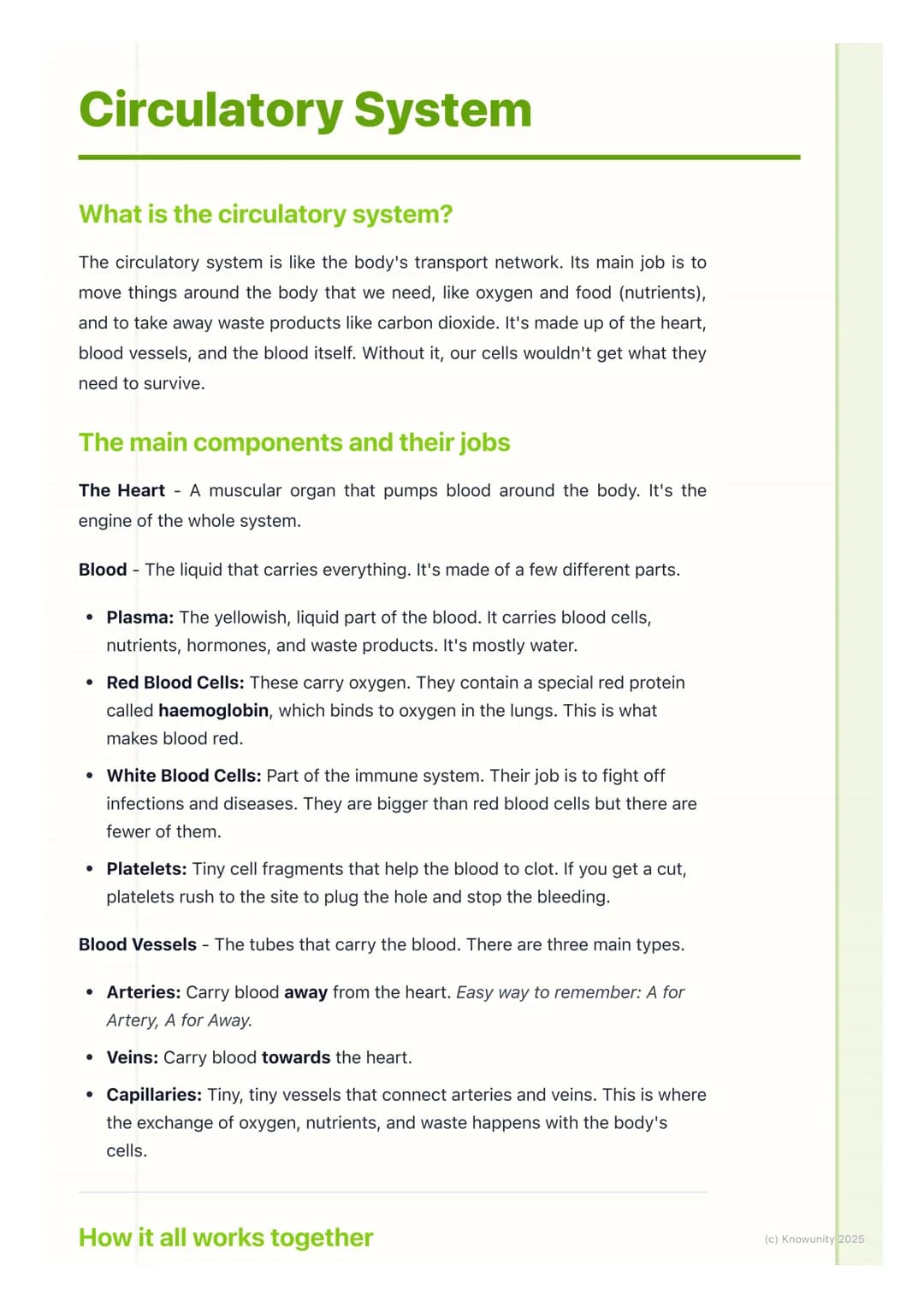 # Circulatory System
What is the circulatory system?
The circulatory system is like the body's transport network. Its main job is to
move