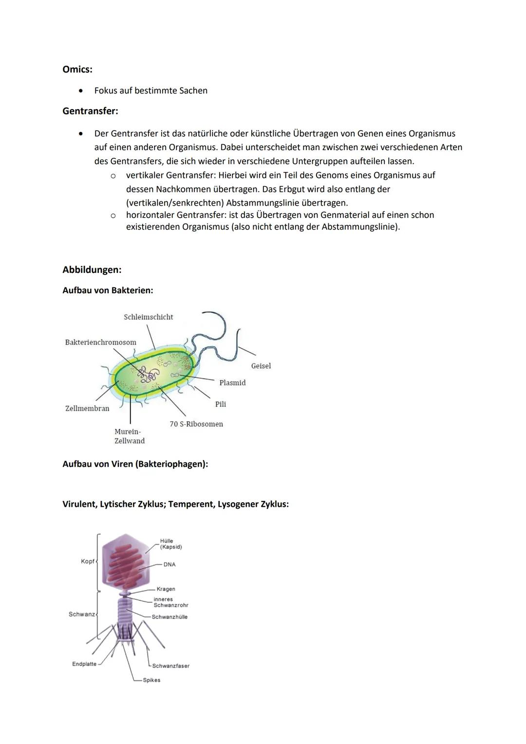 # Genetik
Begriffe Genetik:
Allel
Autosomen
Bakteriophagen
Codieren für etw.
Crossing-over
denaturieren
Dihybrider Erbgang
diploid