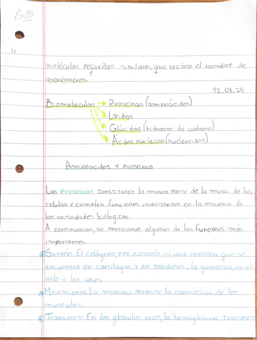 Exito
05.03.25
Composición quimica de los seres vivos
Sexes
Vivos
↓
Lipidos
Hidviatos de carbong
Acidos nucleicos
células biomolecul
