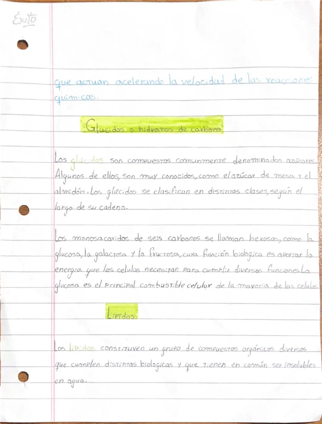 Exito
05.03.25
Composición quimica de los seres vivos
Sexes
Vivos
↓
Lipidos
Hidviatos de carbong
Acidos nucleicos
células biomolecul