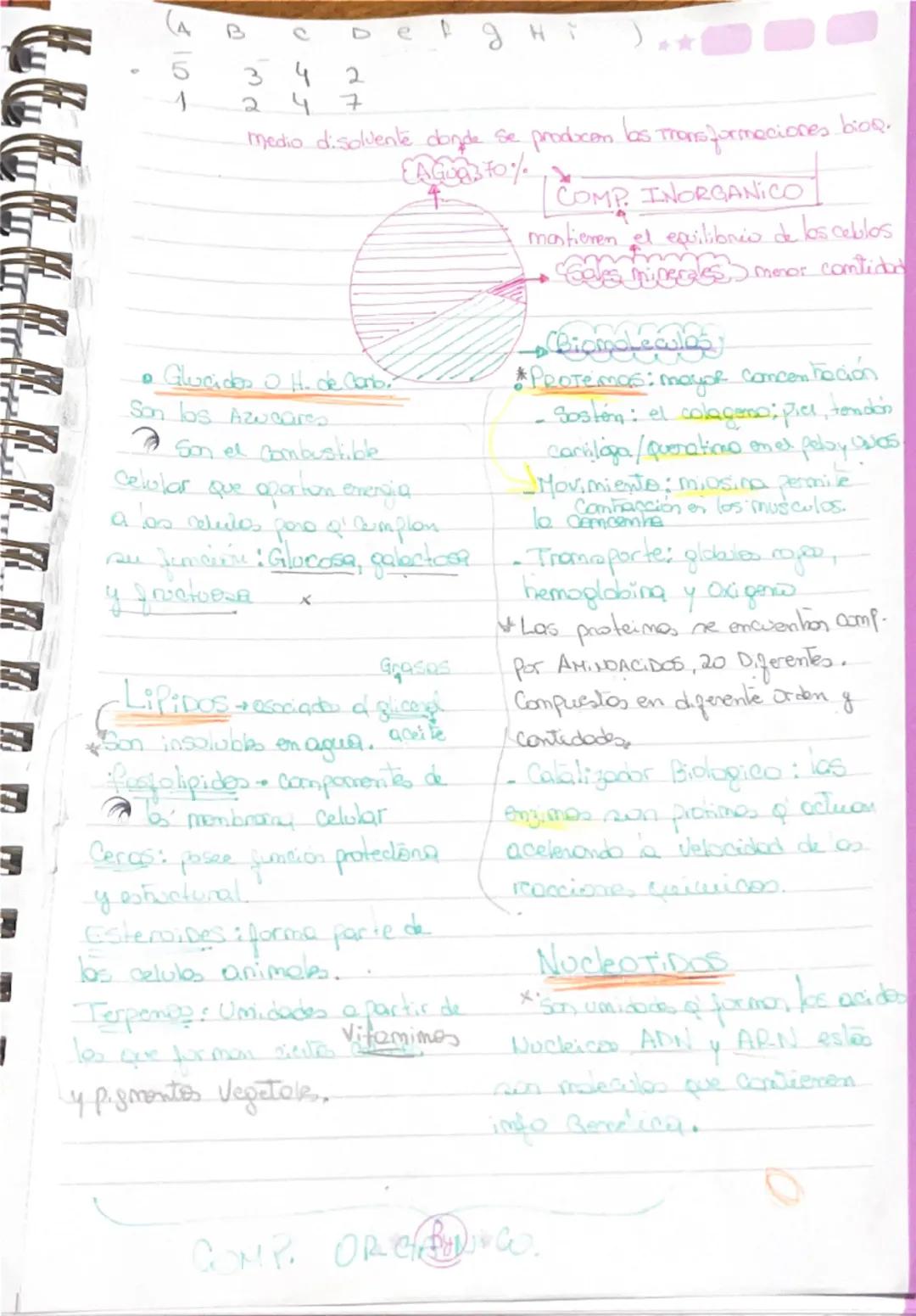Exito
05.03.25
Composición quimica de los seres vivos
Sexes
Vivos
↓
Lipidos
Hidviatos de carbong
Acidos nucleicos
células biomolecul