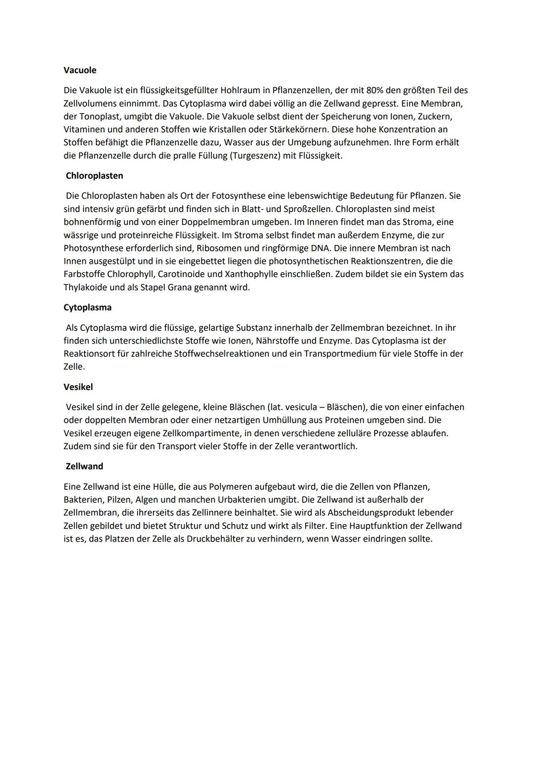 # Struktur und Funktion von Zellorganellen
Endoplasmatisches
Reticulum
Zellkern
Zellmembran
Mitochondrien
Golgi-Apparat
Zytoplasma
Ly