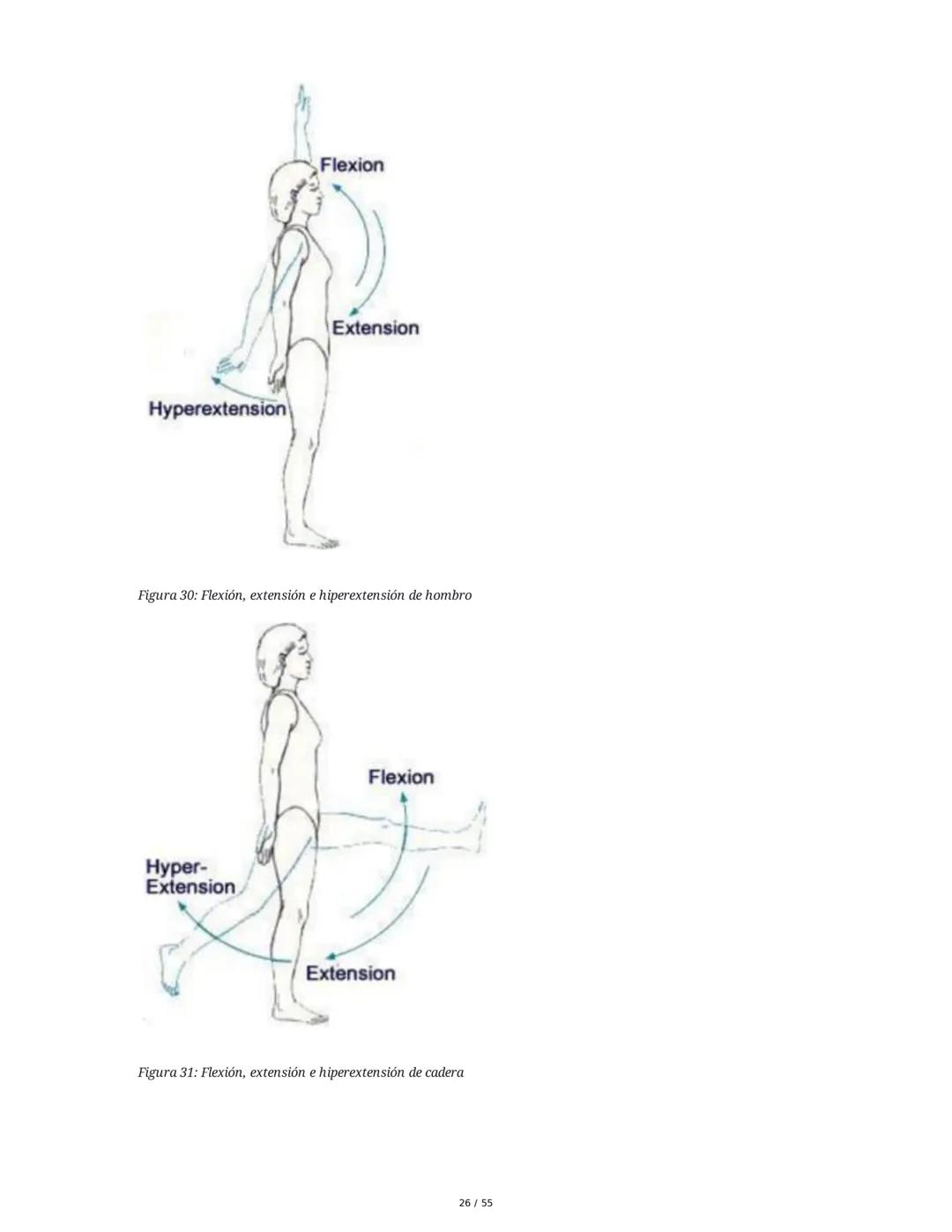 Anatomía Funcional - Resumen Integral
1. Introducción y Generalidades
El estudio de la anatomía funcional es fundamental para comprender la