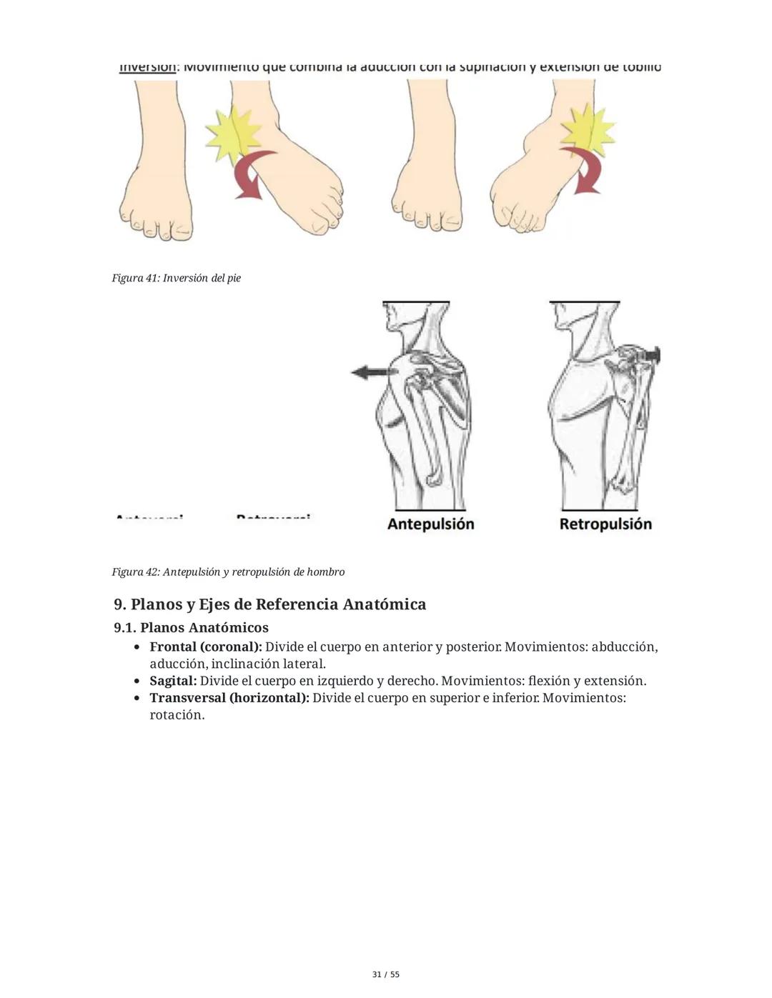 Anatomía Funcional - Resumen Integral
1. Introducción y Generalidades
El estudio de la anatomía funcional es fundamental para comprender la