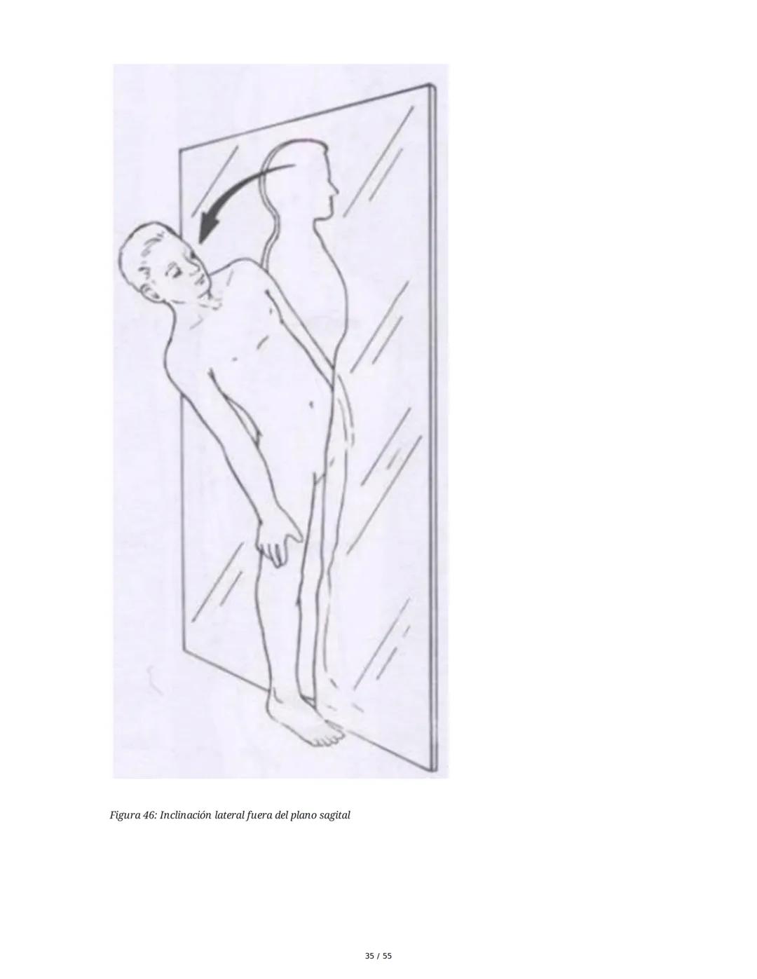 Anatomía Funcional - Resumen Integral
1. Introducción y Generalidades
El estudio de la anatomía funcional es fundamental para comprender la