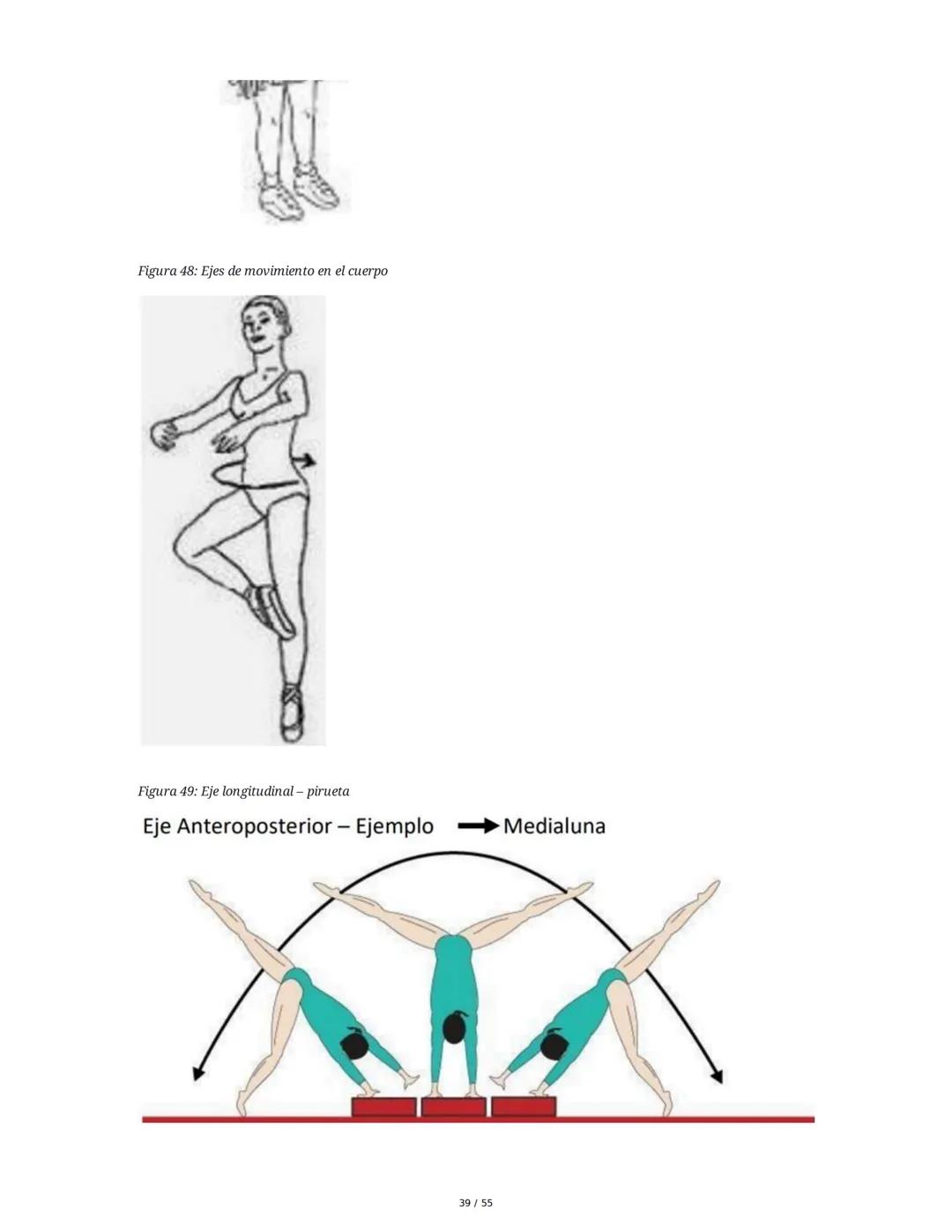 Anatomía Funcional - Resumen Integral
1. Introducción y Generalidades
El estudio de la anatomía funcional es fundamental para comprender la
