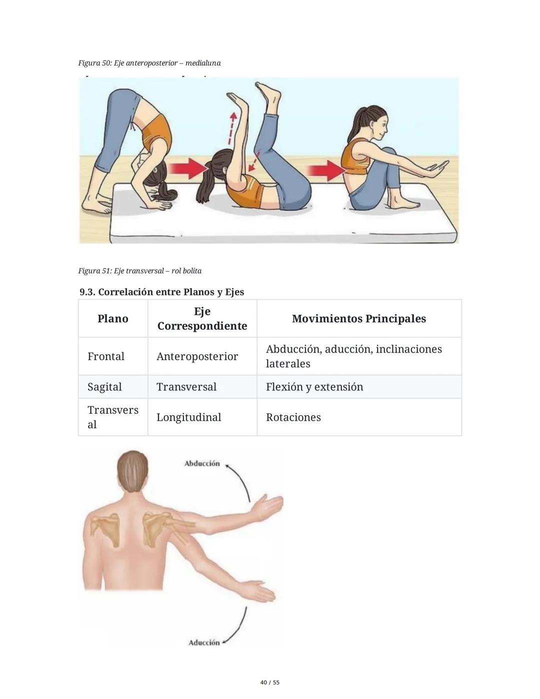 Anatomía Funcional - Resumen Integral
1. Introducción y Generalidades
El estudio de la anatomía funcional es fundamental para comprender la